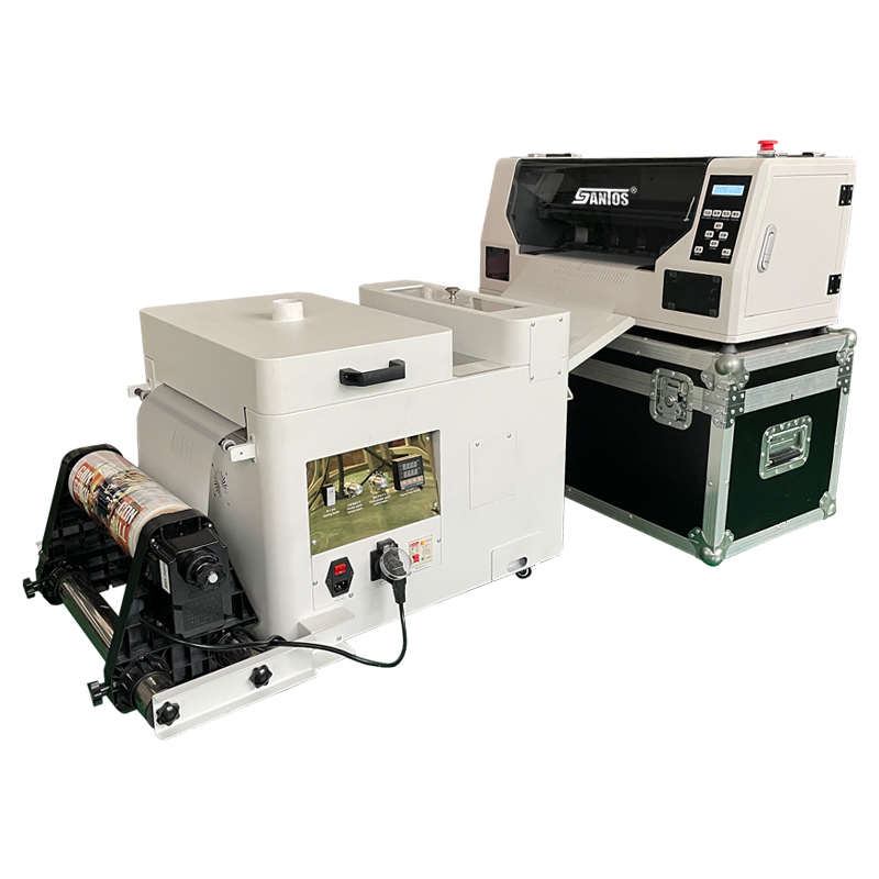 Stampante DTF da 30 cm con tes - Commercial Dtf Printing Machine recensione e prezzo