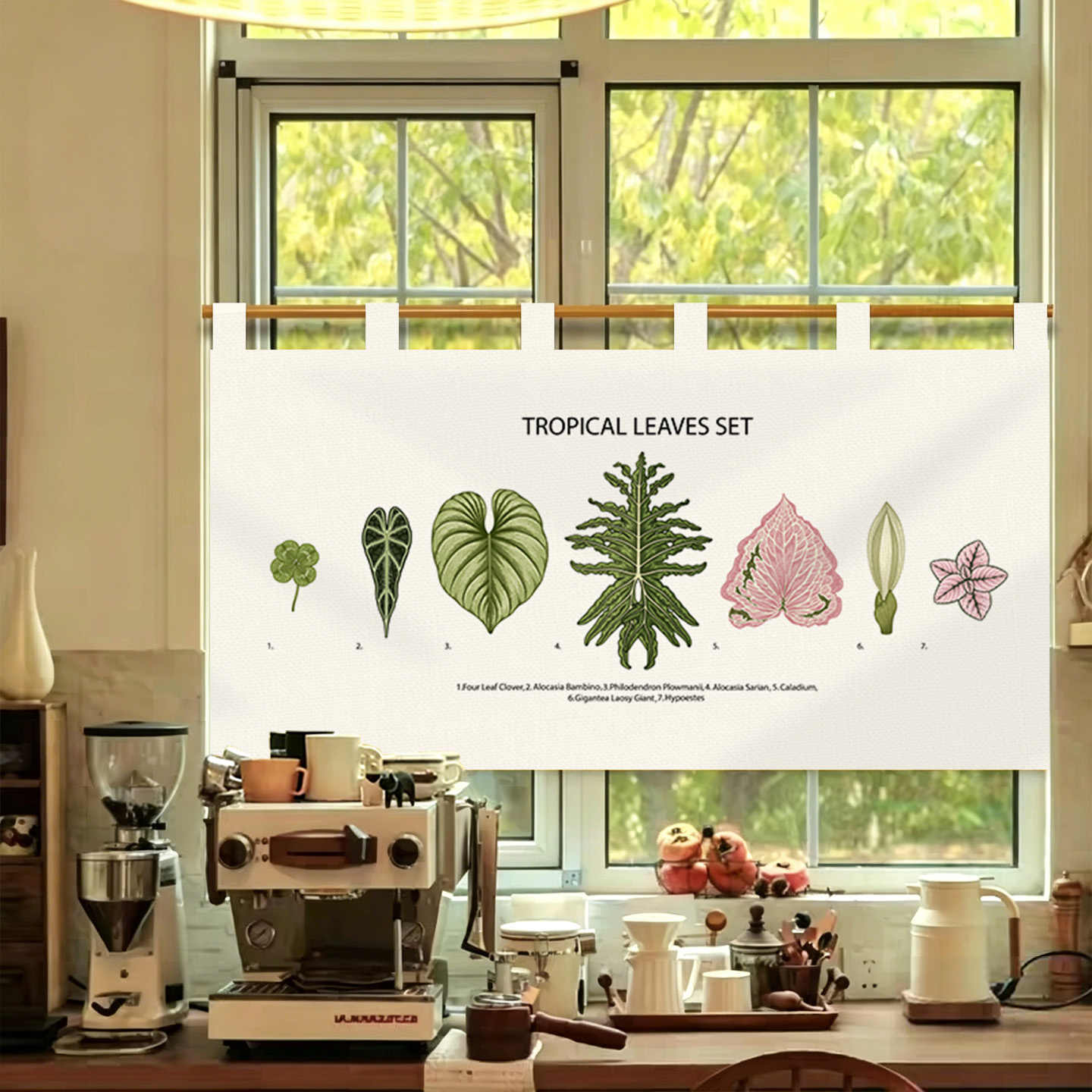 Tenda Noren Vintage VIKAMA Dis - Commercial Printing Rates recensione e prezzo